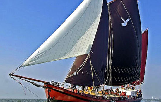 Zwarte Valk - Plattbodenschiff ab Makkum Segelschiff Zwarte Valk